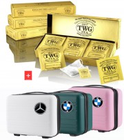 TWG 카모마일 티백 15p+여행용 레디백 캐리어 가방 선물세트