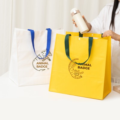 친환경 컬러 타포린백 대형(2색) (중량 150g±5)(400x250x400mm)