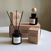 센트라도 미니 디퓨저 50ml+차량용 디퓨저 50ml 2P 세트