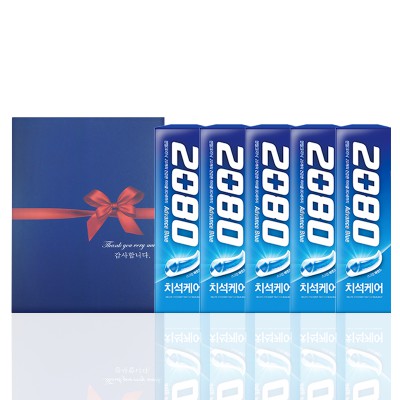 관공서 공공기관 선물세트 알뜰박스 2080치약 5입