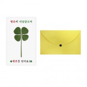 행운의 네잎클로버 생화 투명 코팅 인쇄 맞춤카드+봉투
