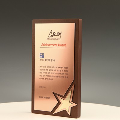 송공 기업 기념 감사패 E5226