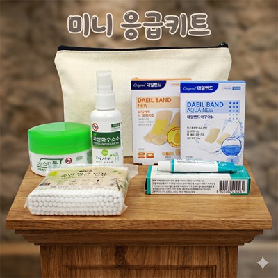 그린 알콜솜 구급함 6종세트