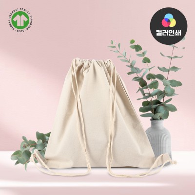에코더스트백